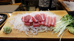 진참치 4