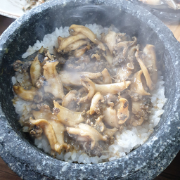 대우정 사진 7