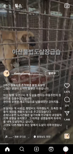 신안성식당 1