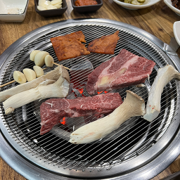 코뚜레돈우어때 2