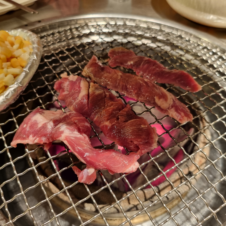 신부산갈매기 3