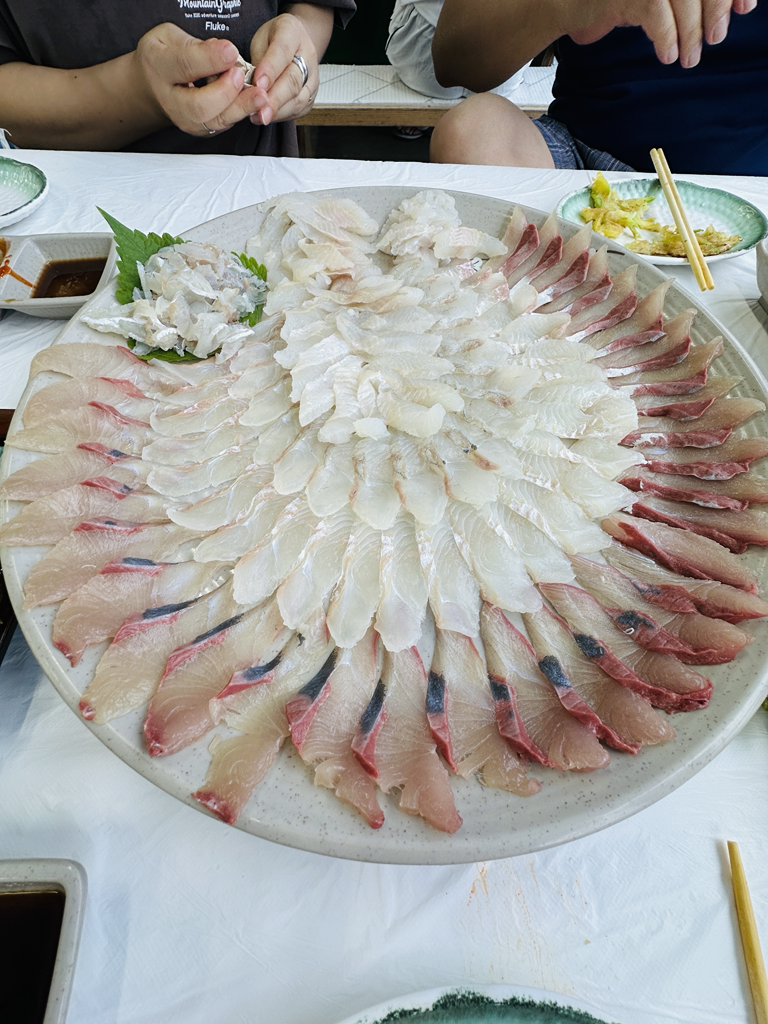 양씨네 횟집 5