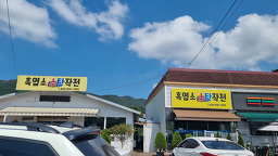 Heukyeomsosotangjakjeon (흑염소소탕작전) 2