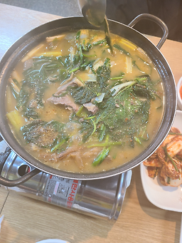 참고을흑염소 사진 3