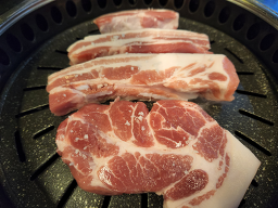 한림도새기 사진 2
