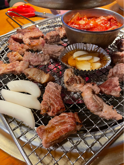 허니피그 사진 2