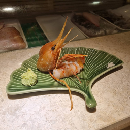 스시류 사진 8