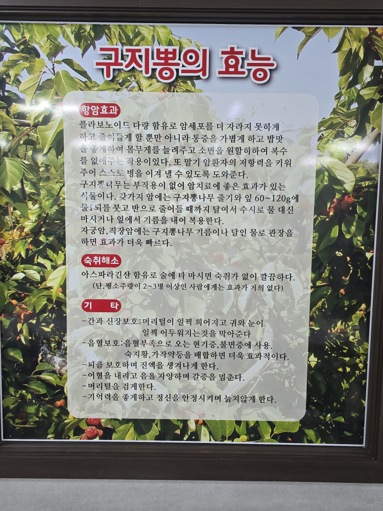 금수구지뽕삼계탕 6