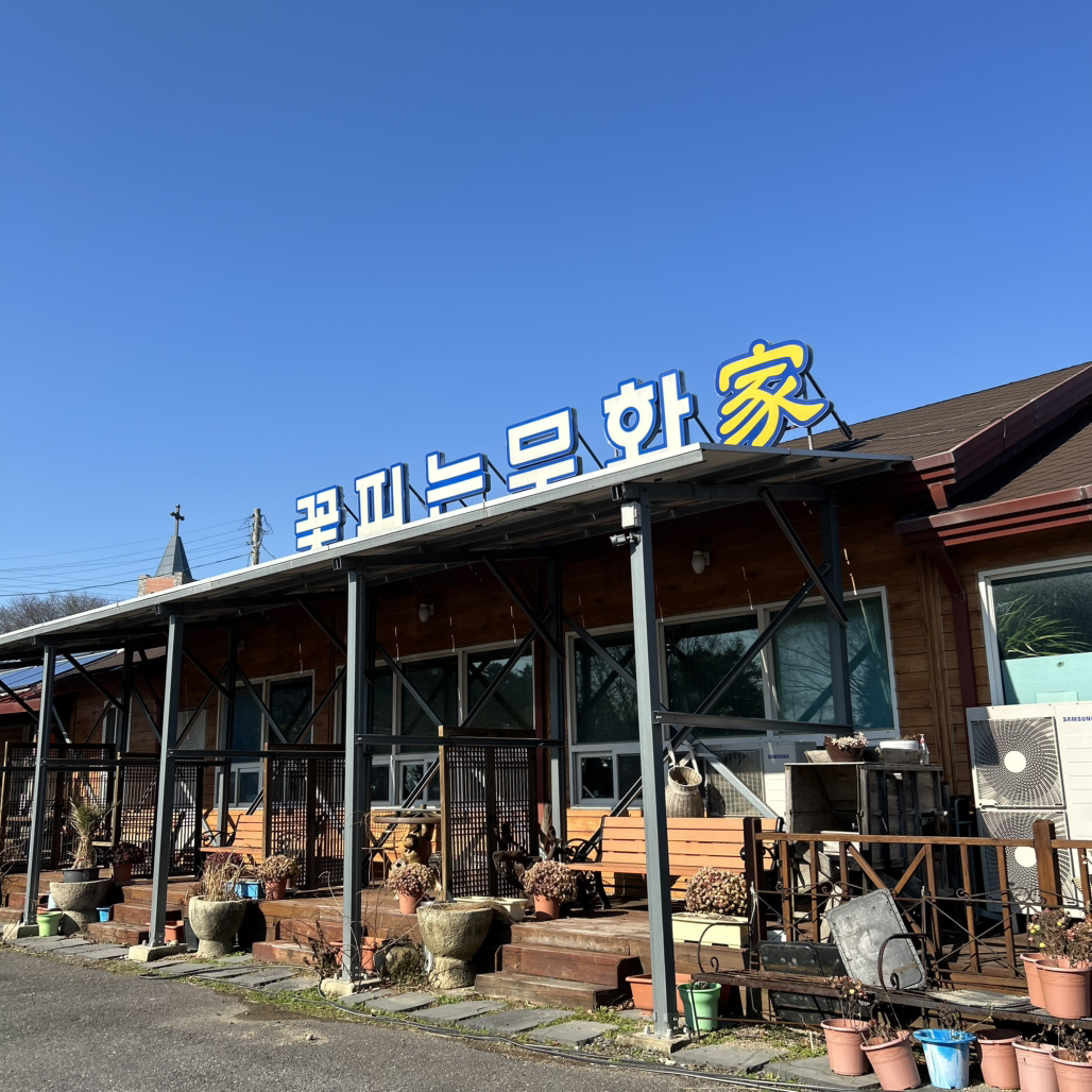 꽃피는무화가 6