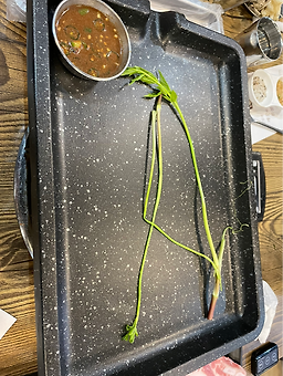 Kkulkkulchon (꿀꿀촌) 3