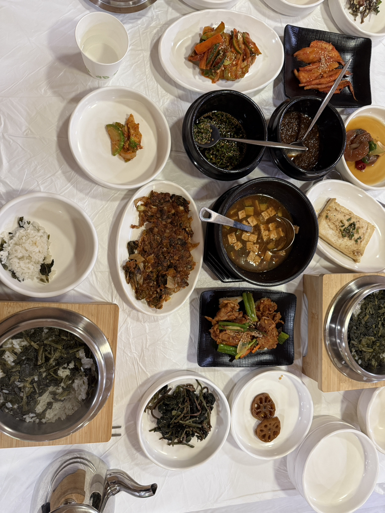 목향 1