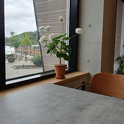 Ollibeugeurin (올리브그린) 2