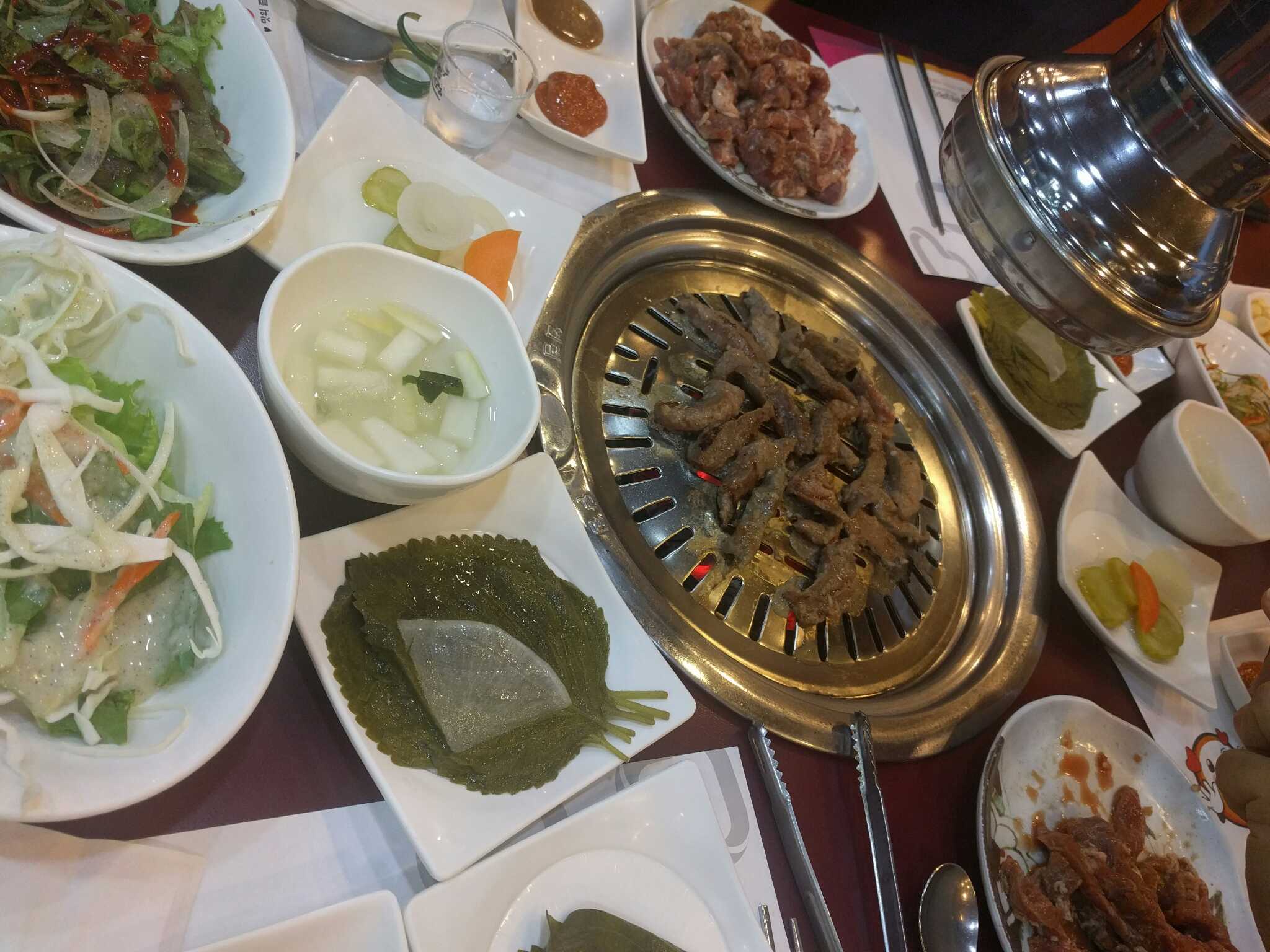 유명갈매기 5