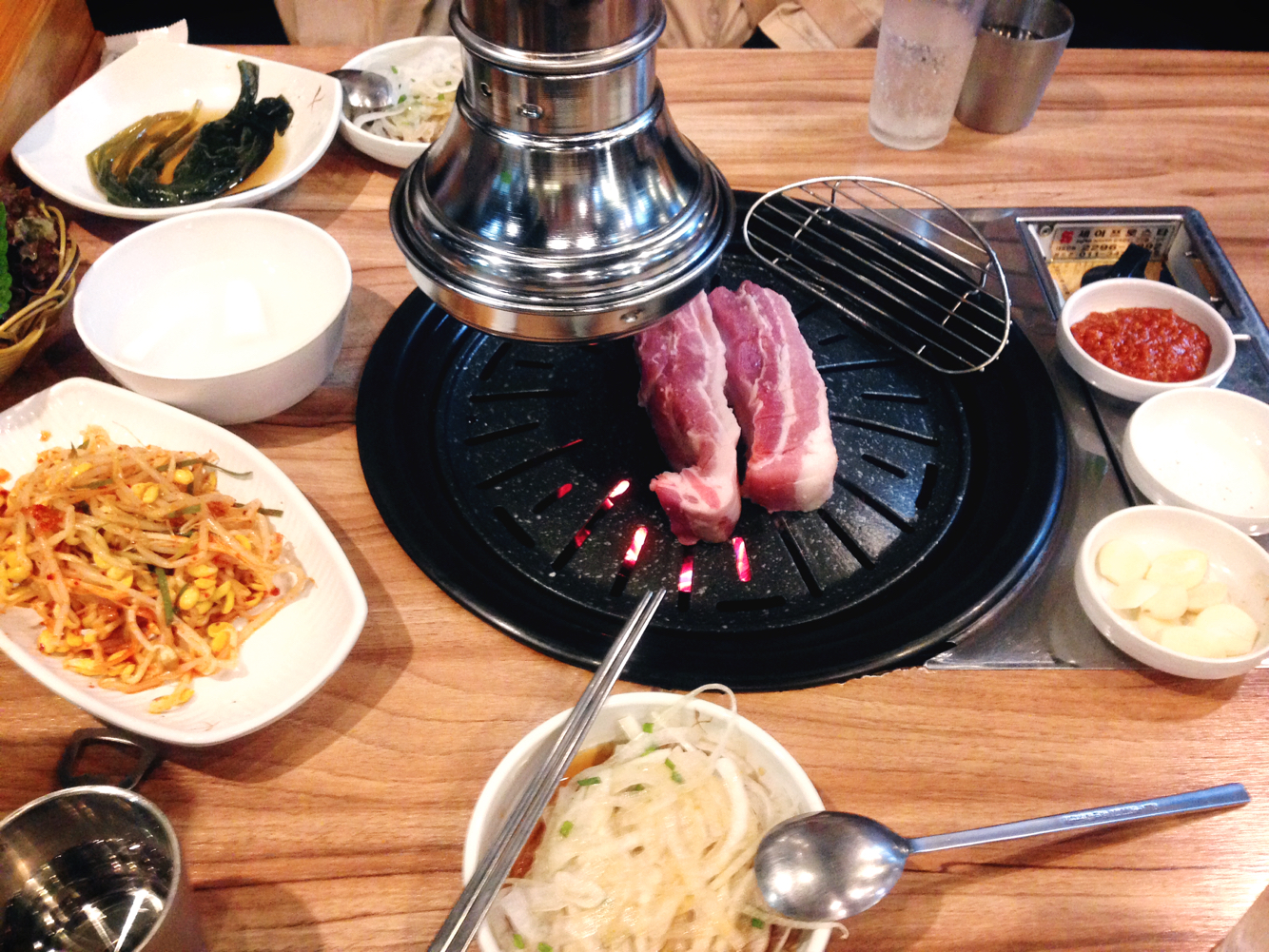 진짜돼지 사진 8