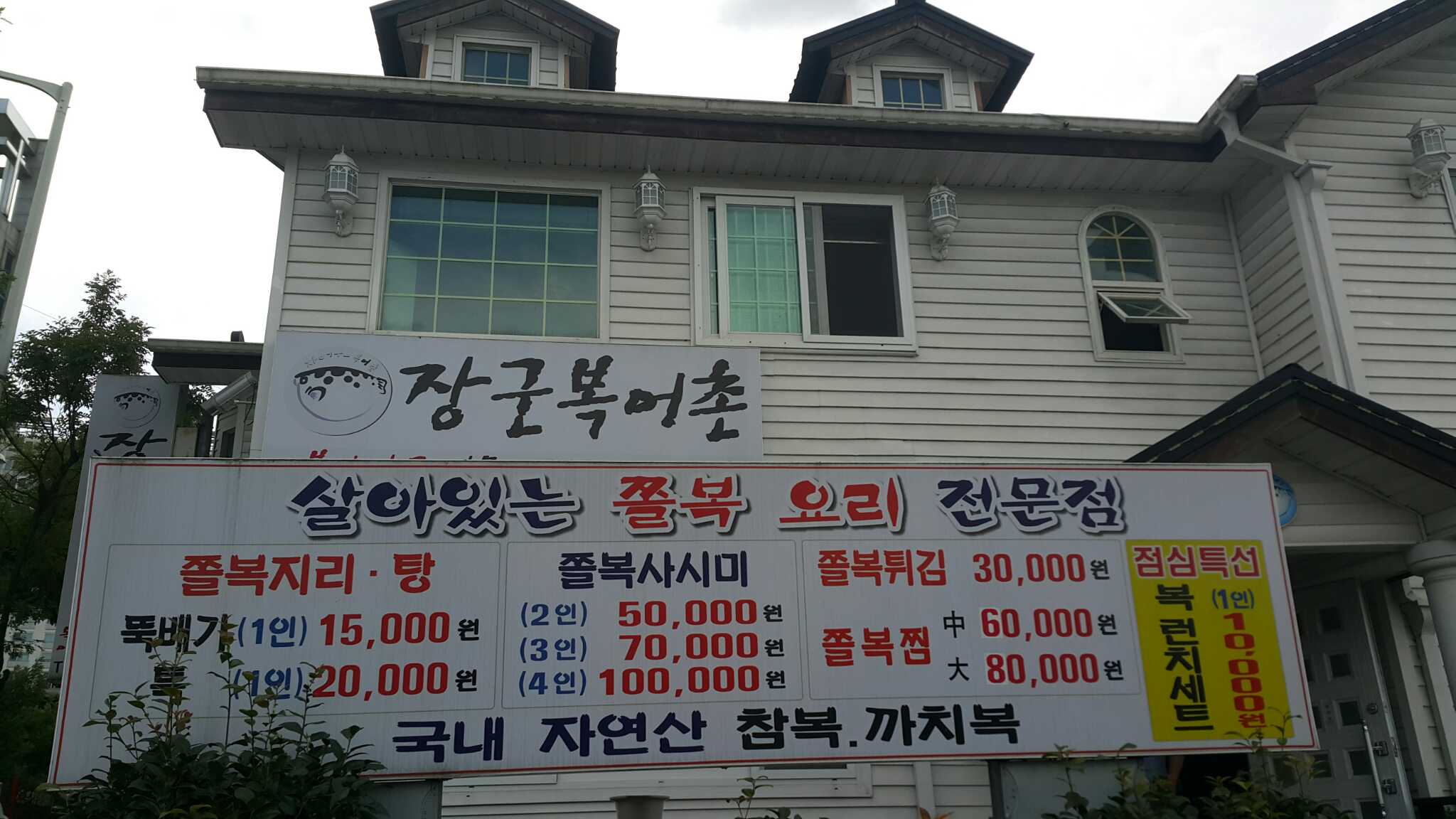 장군복어촌 4