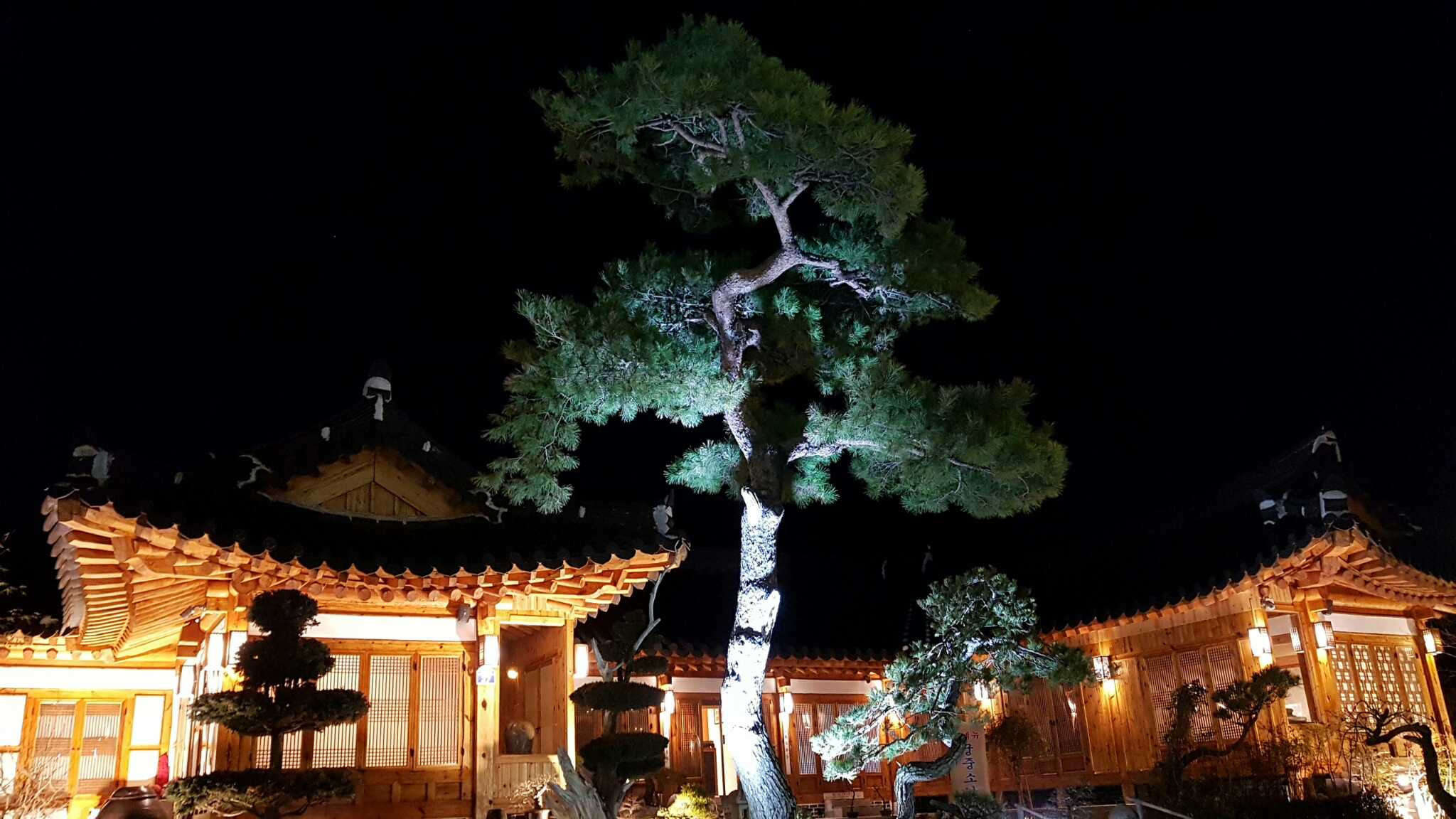 백제삼계탕 5