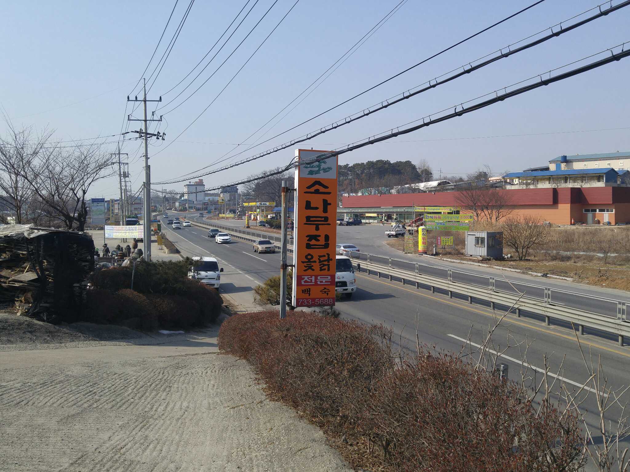 소나무집 5