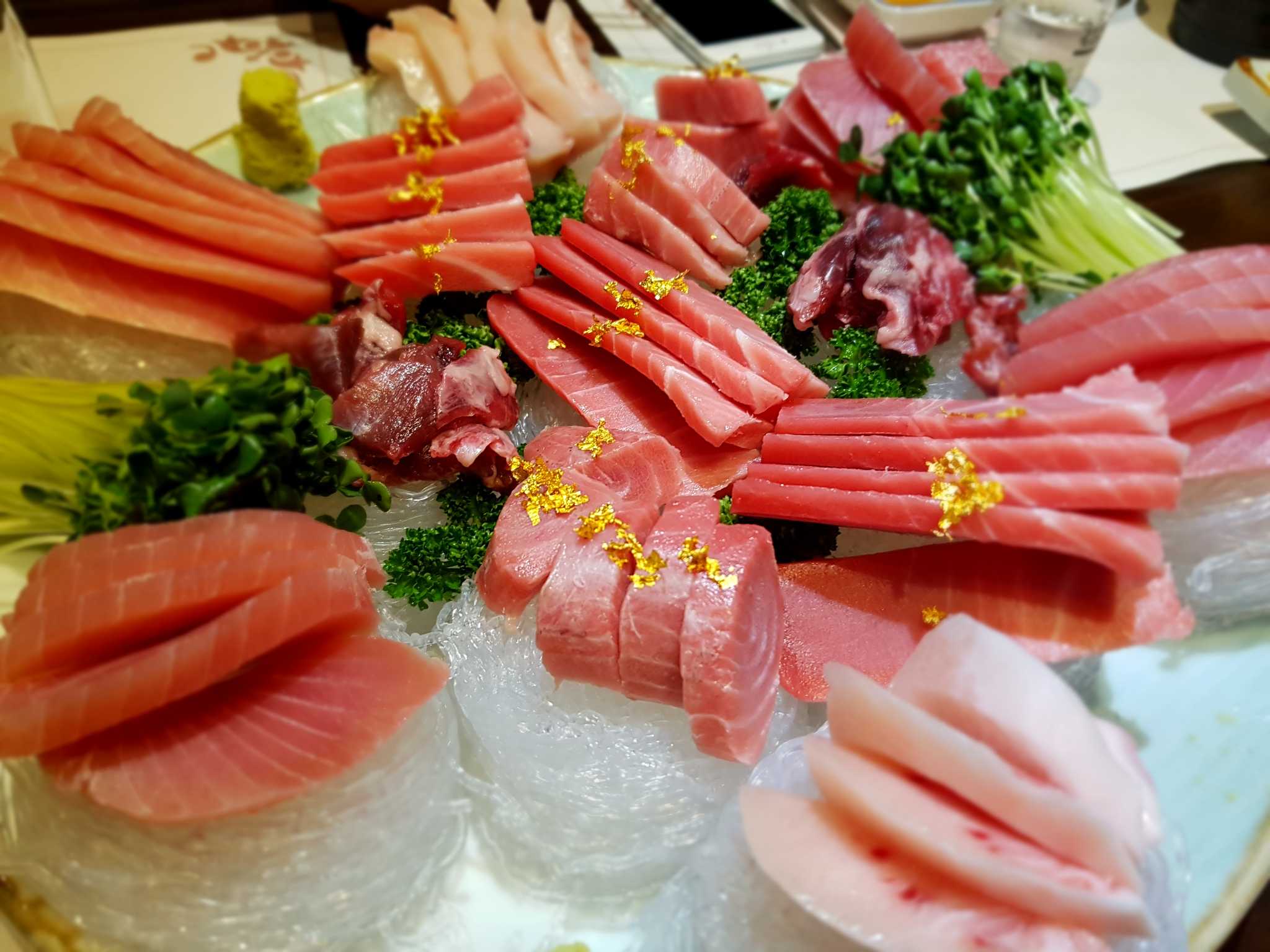 카리브참치 6