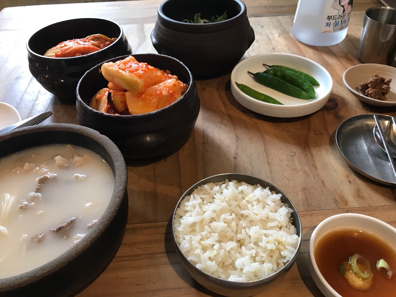 느티나무 4