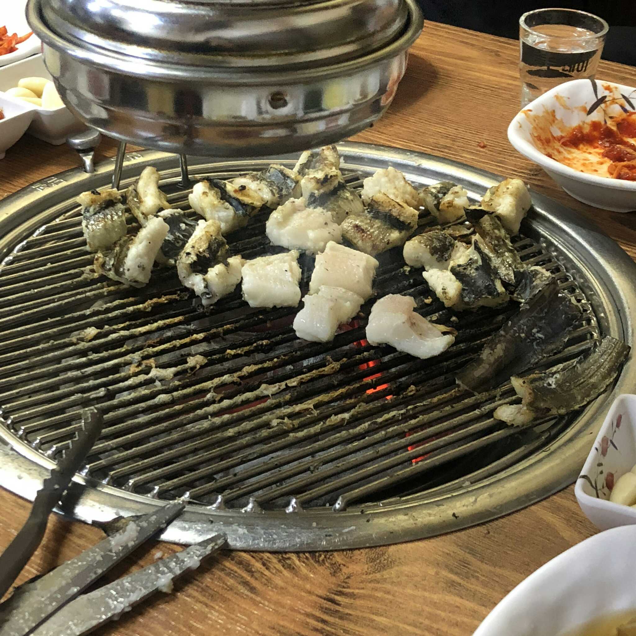 동해장어 1