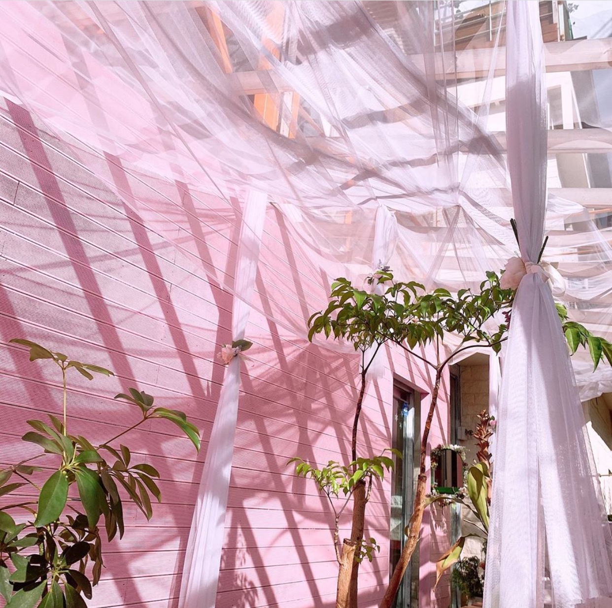 톤앤매너 사진 2
