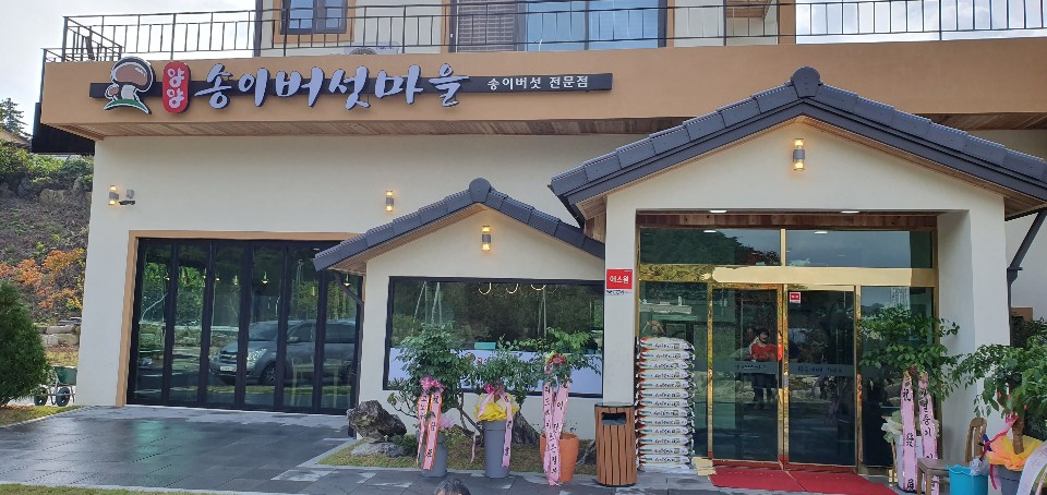 송이버섯마을 2