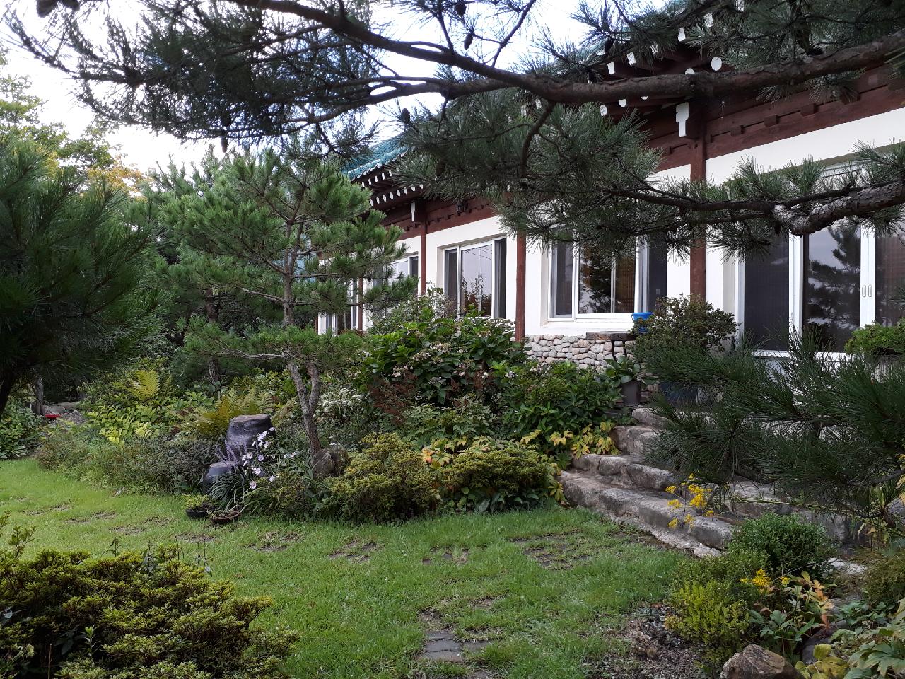 초록궁전 7