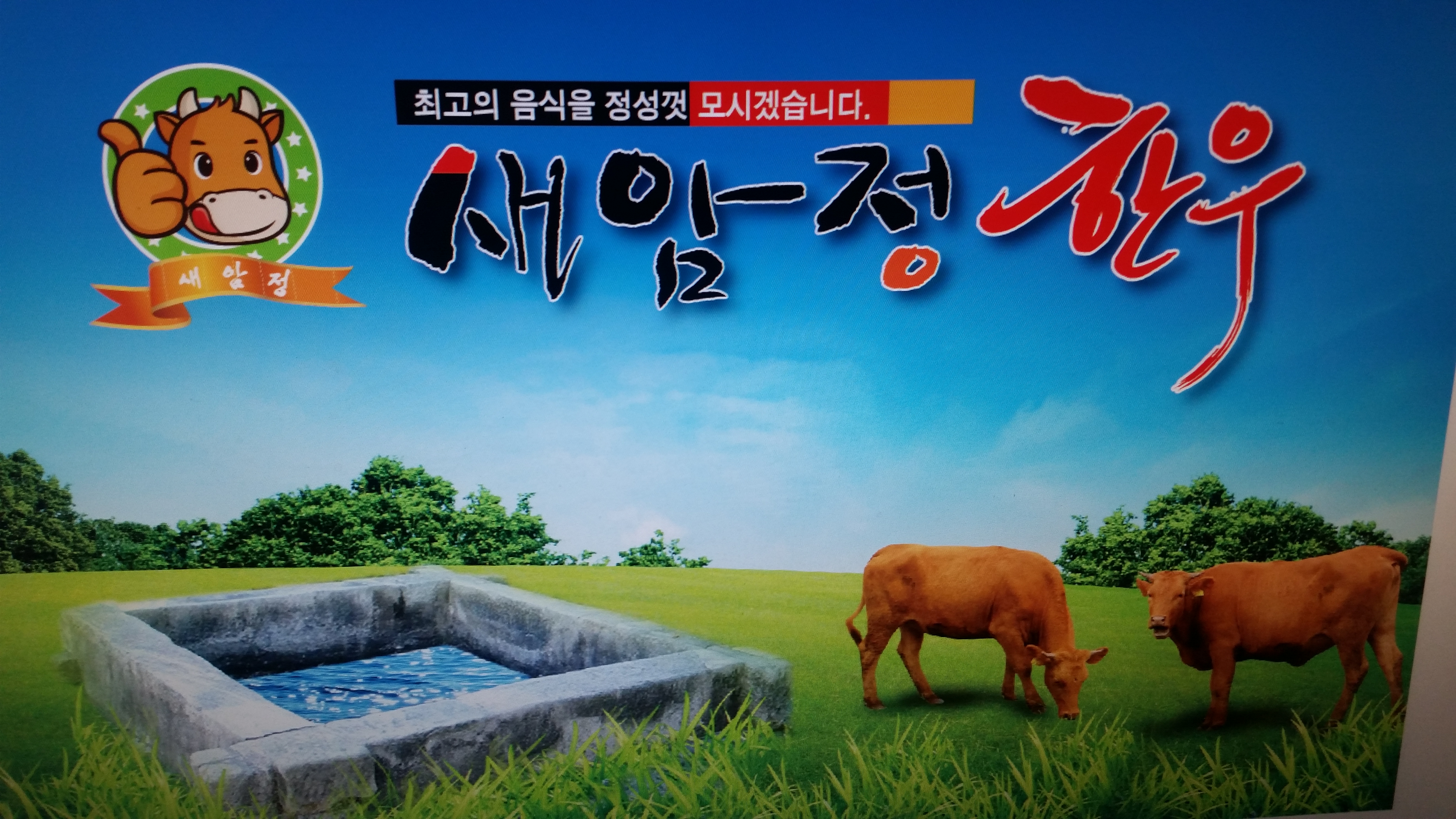 Saeamjeonghanu (새암정한우) 2