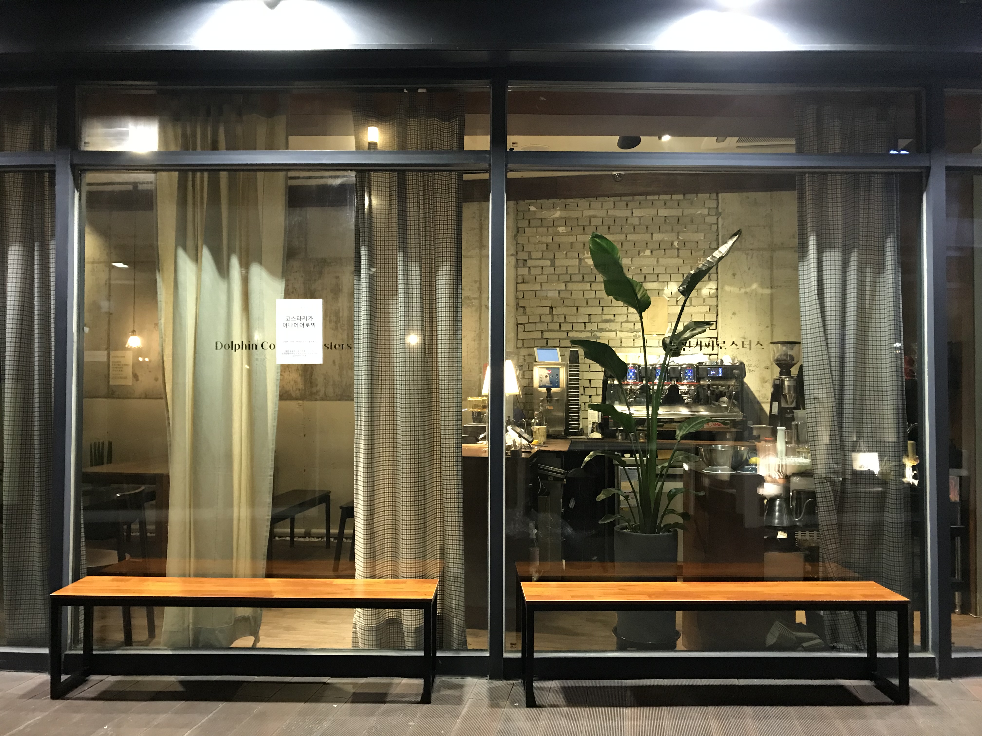 돌핀커피 1