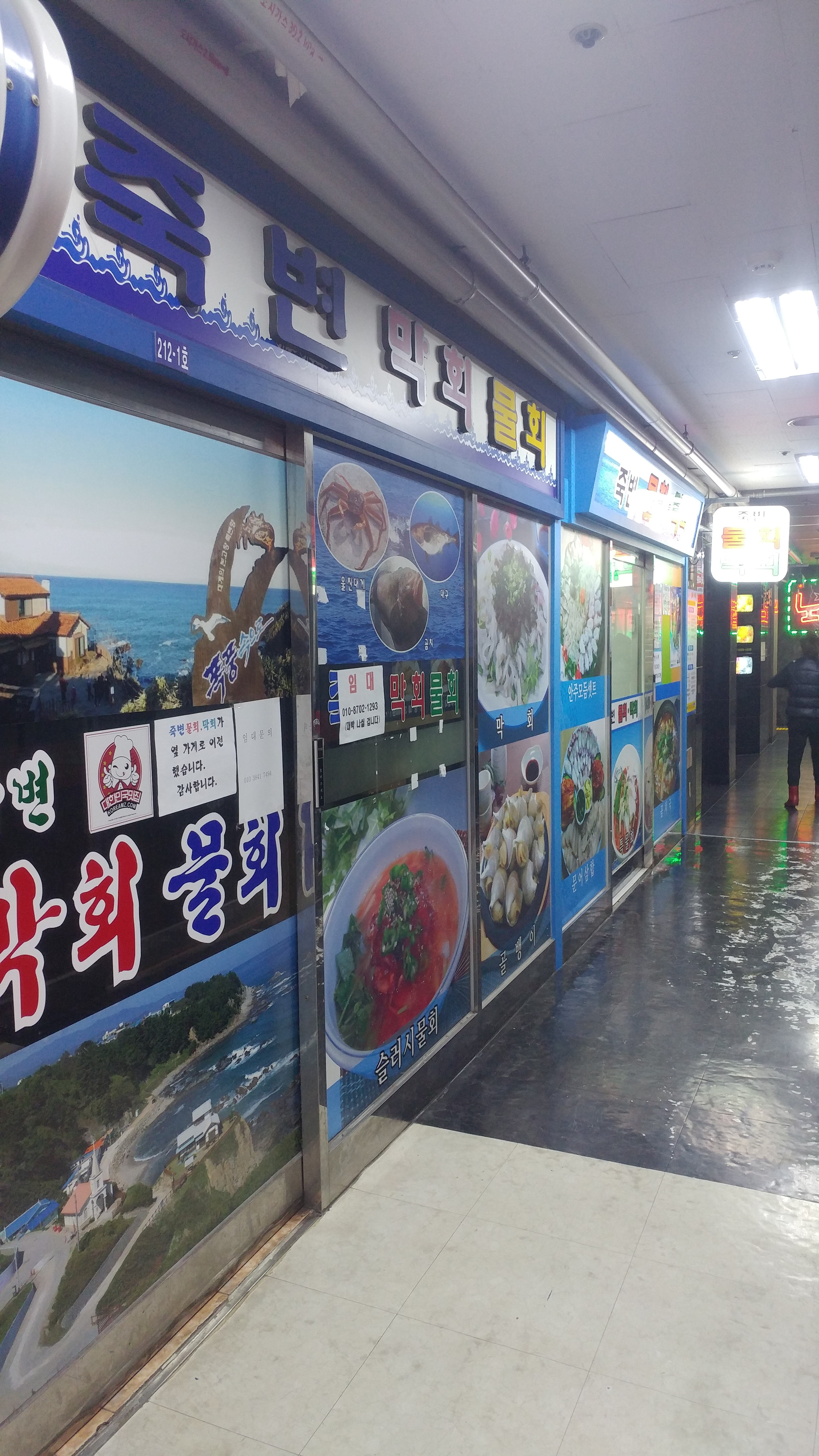 해뜨는죽변물회막회 1