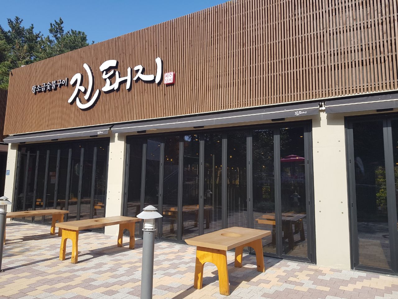 진돼지 사진 5