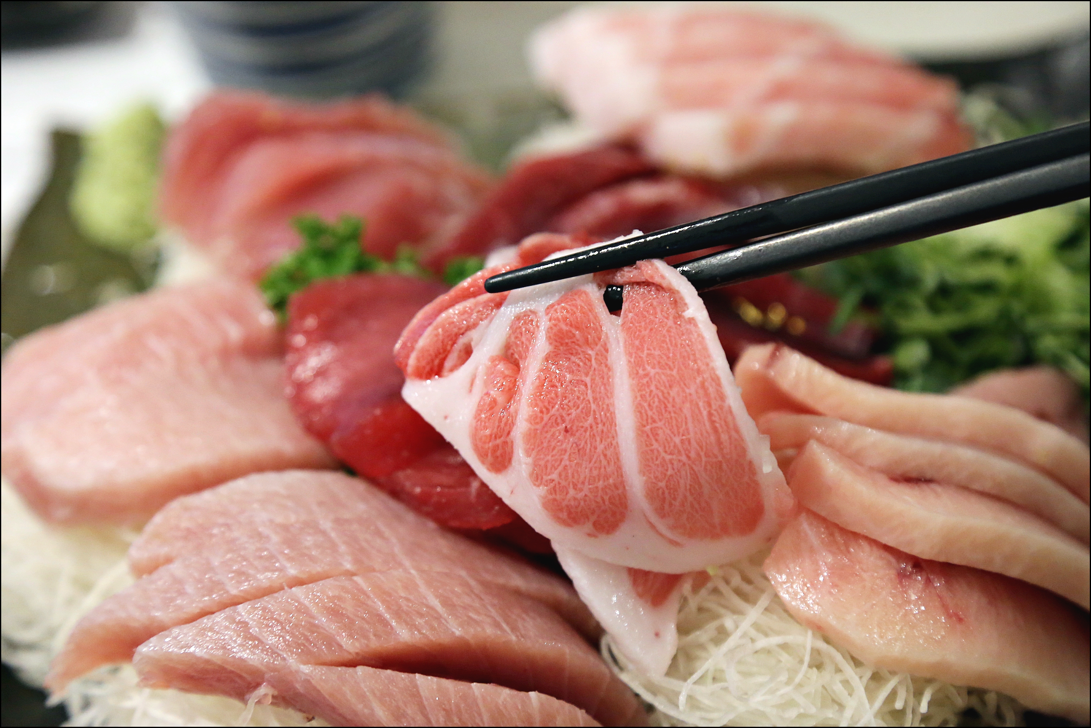 참치공방 종각본 사진 7