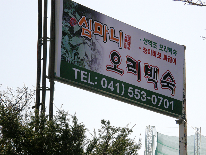 심마니 1
