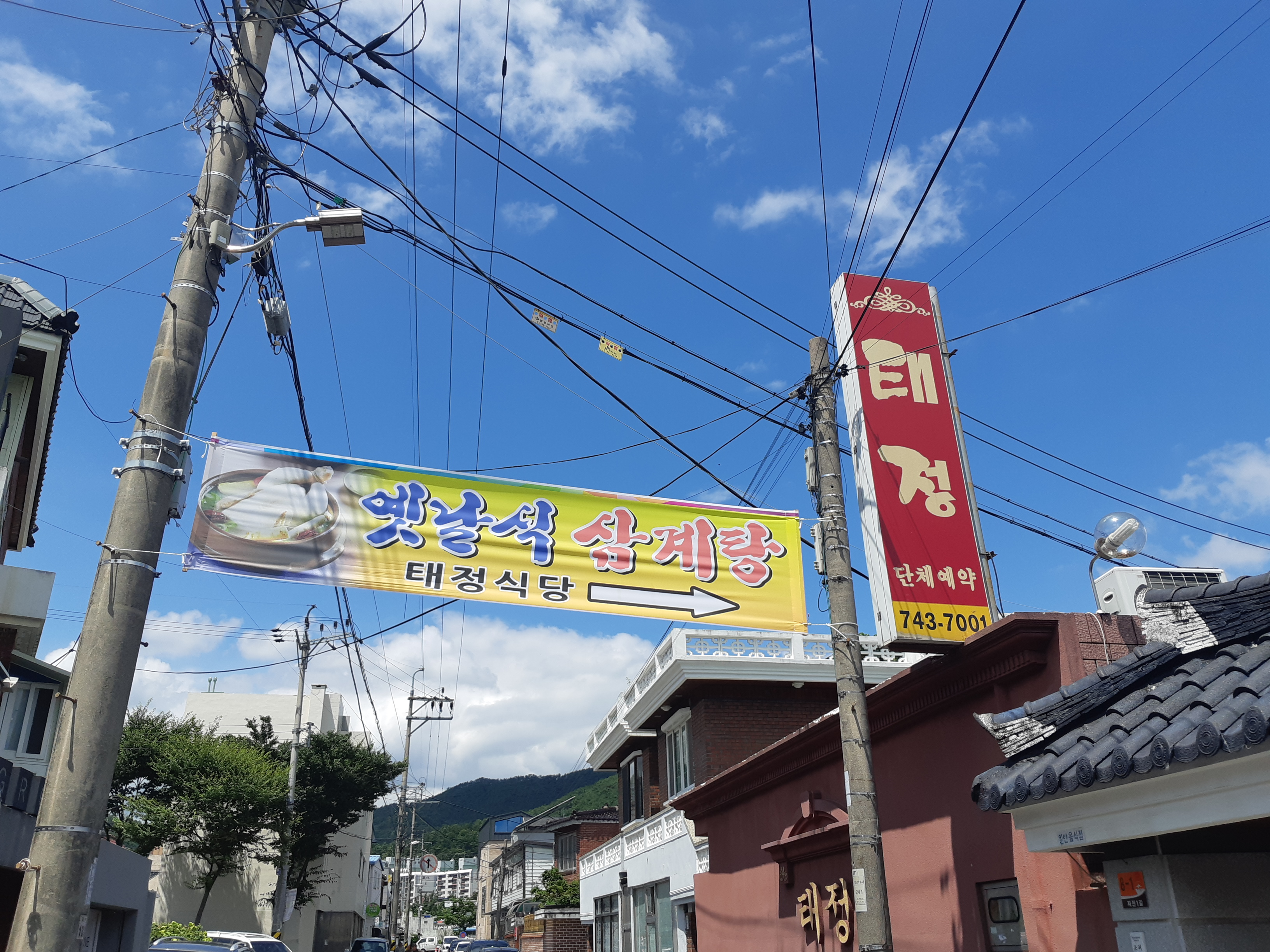 태정 6
