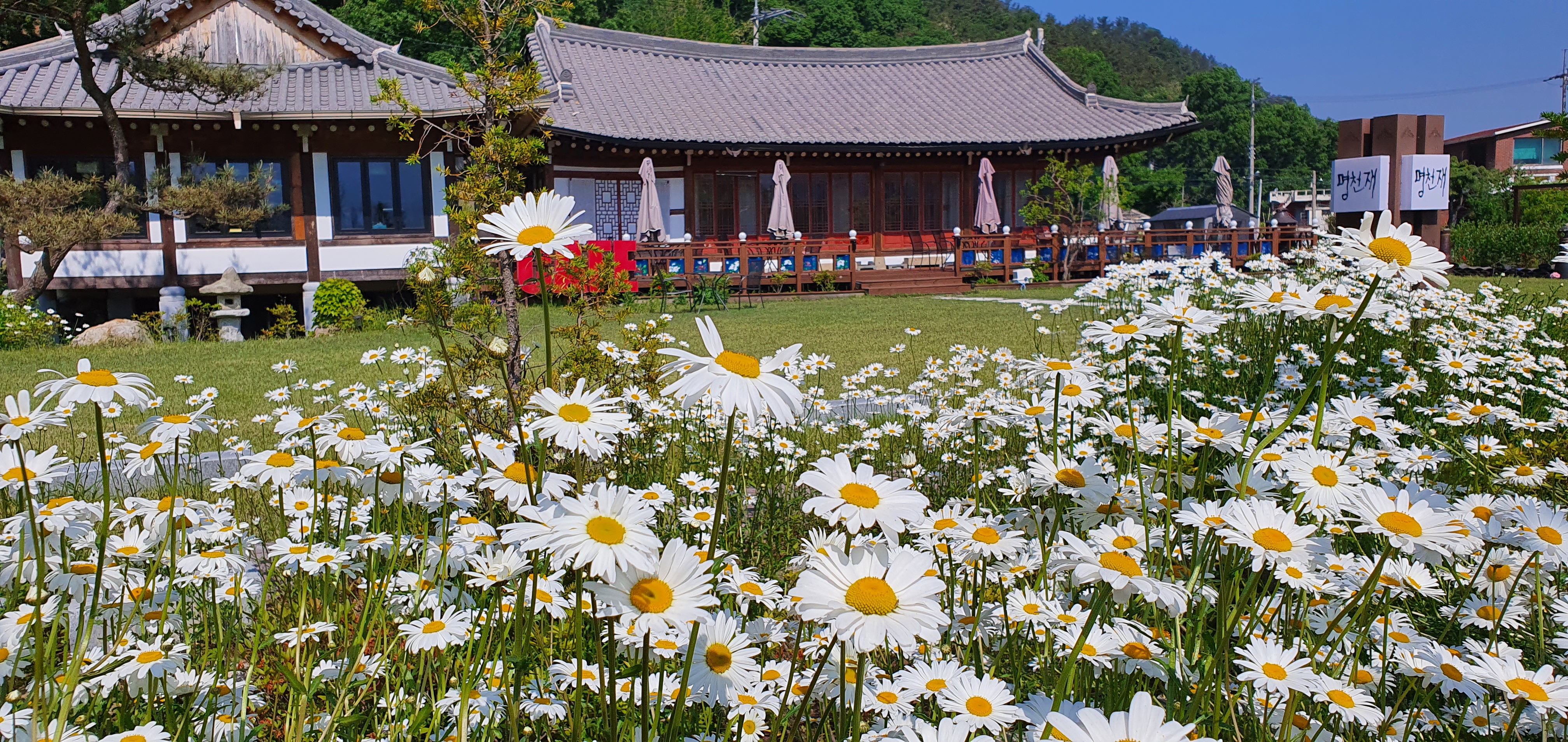 명천재 3