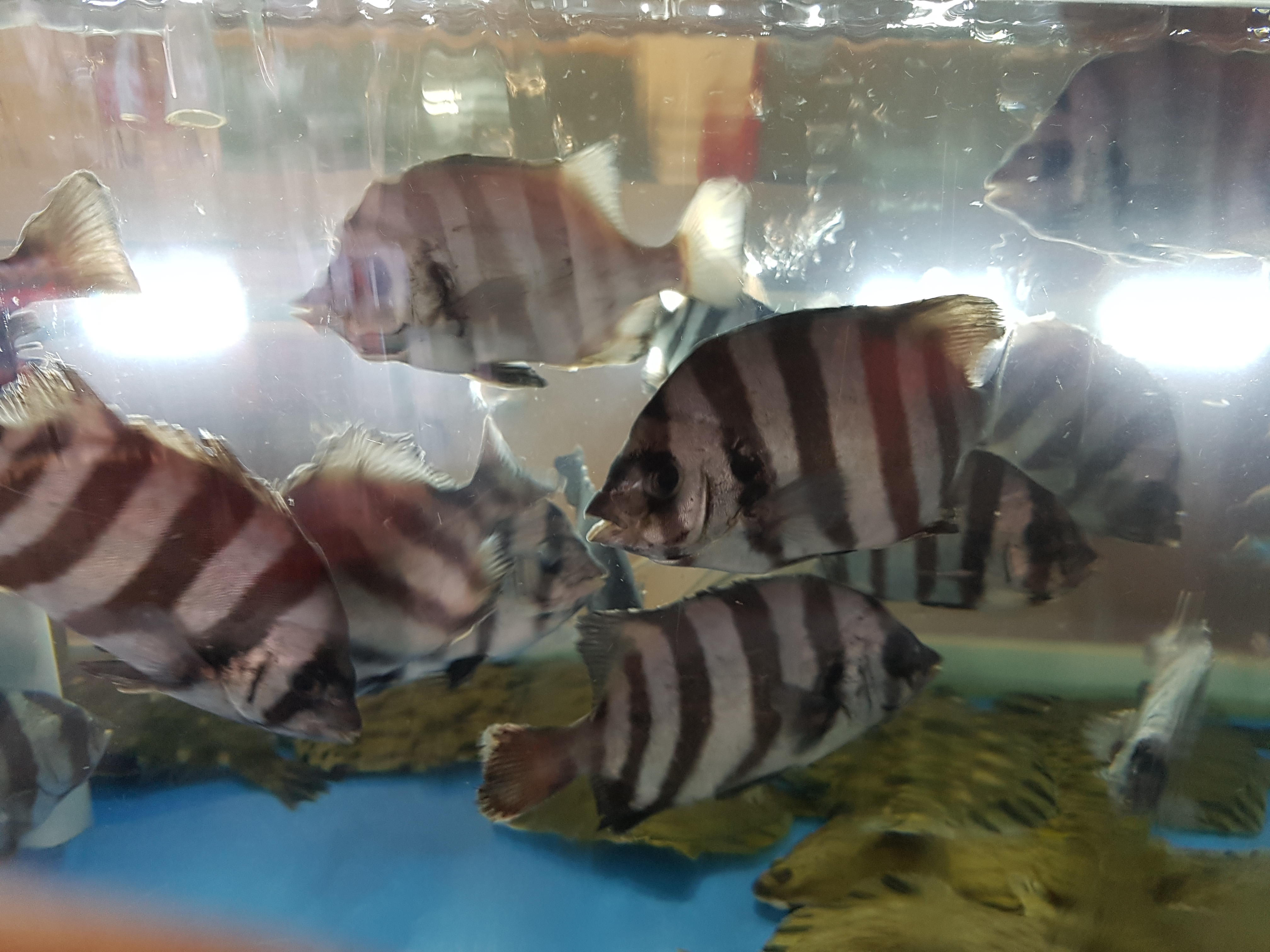 우리바다수산 2
