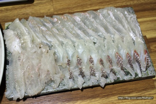 지세포세꼬시 사진 7