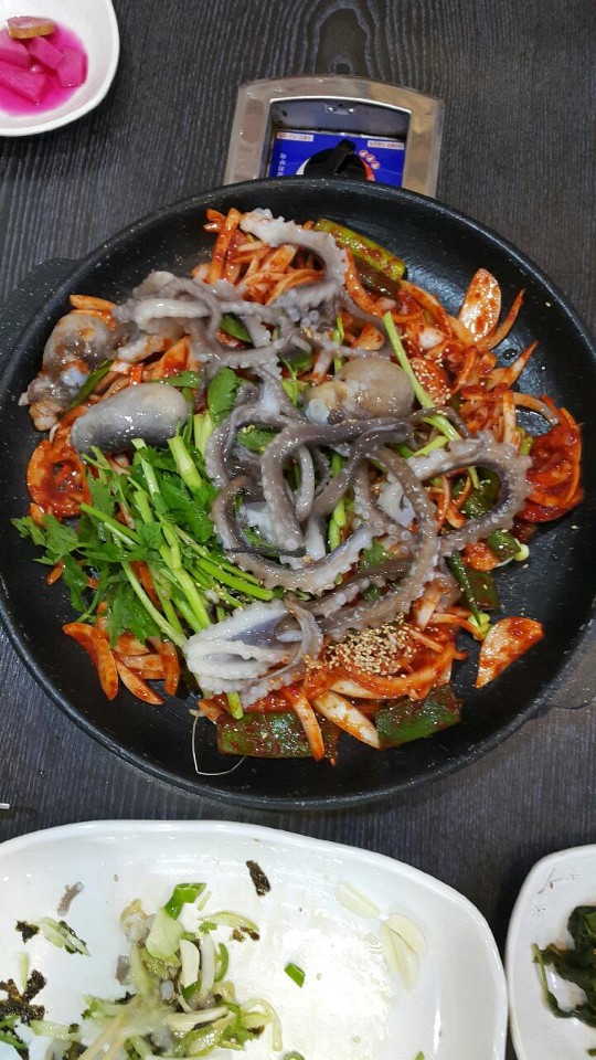 갯마을낙지 5