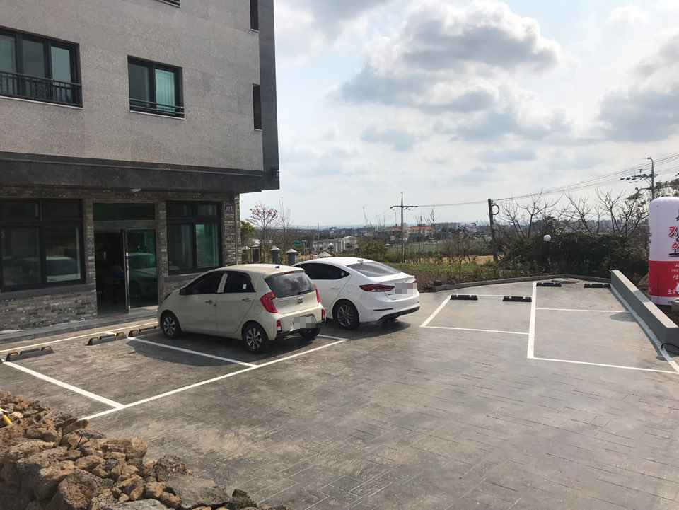 장군오리 사진 4