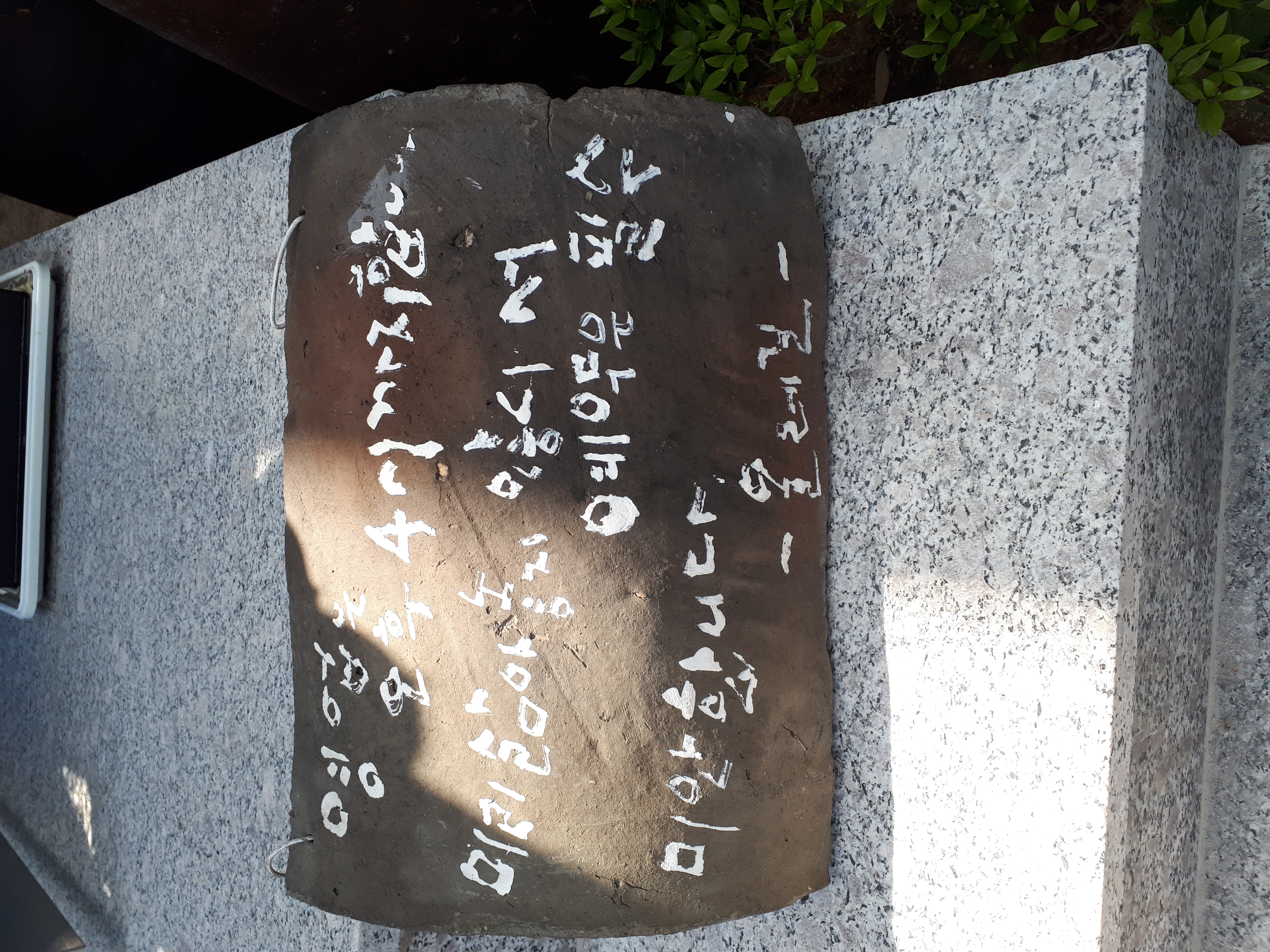 올레길삼계탕 5
