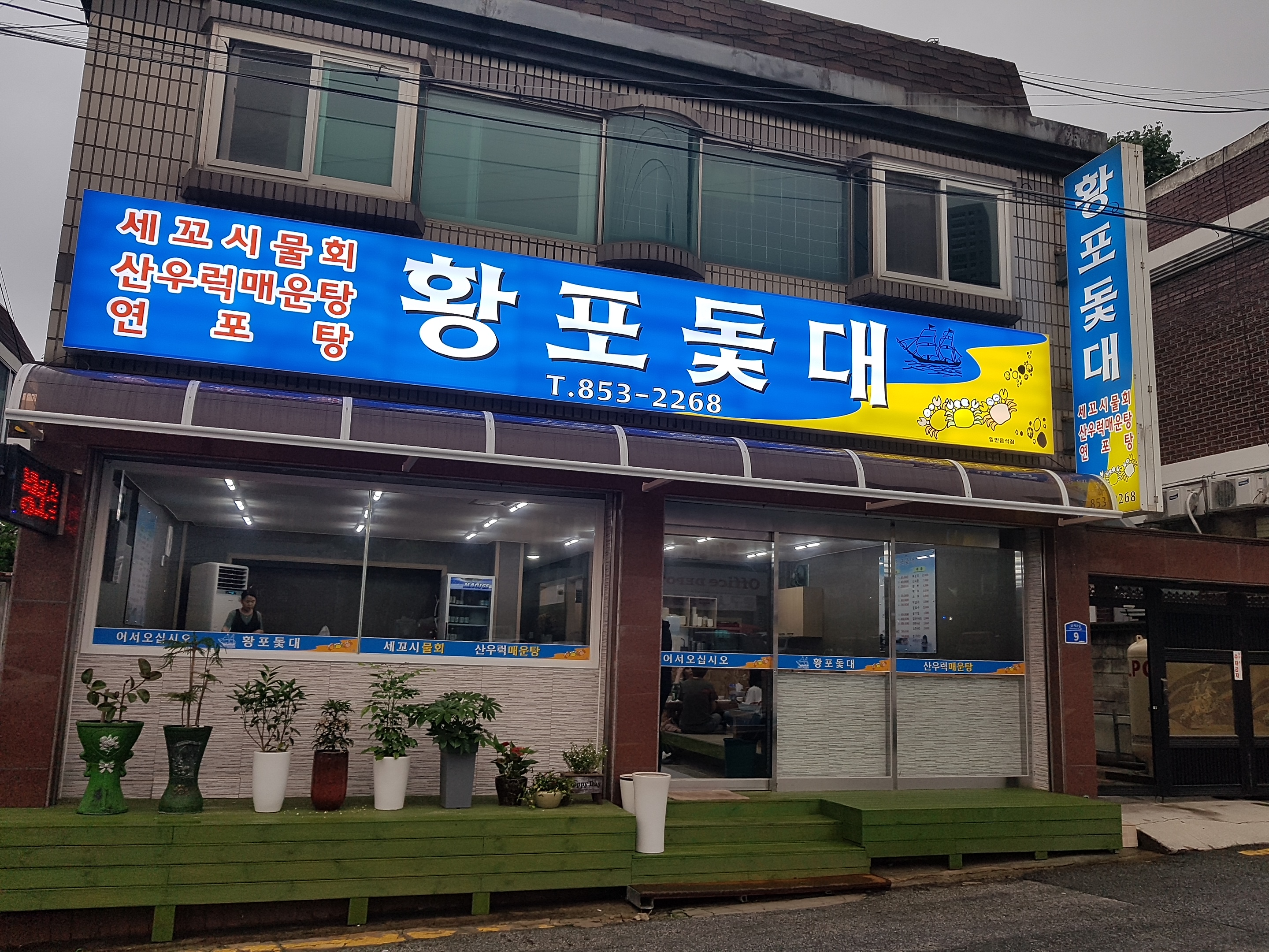 황포돛대 1