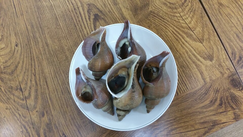 해뜨는죽변물회막회 3