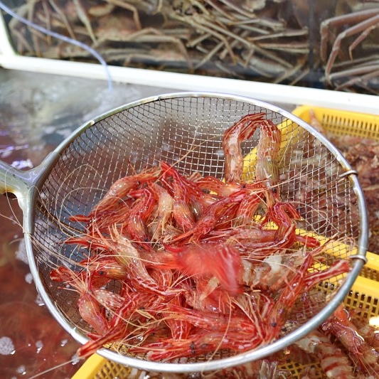 팔팔회센타 본점 8