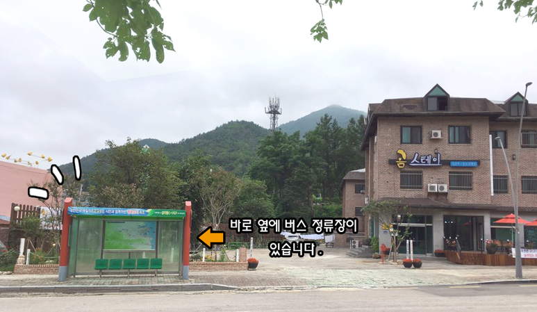 곰스테이리조트 6