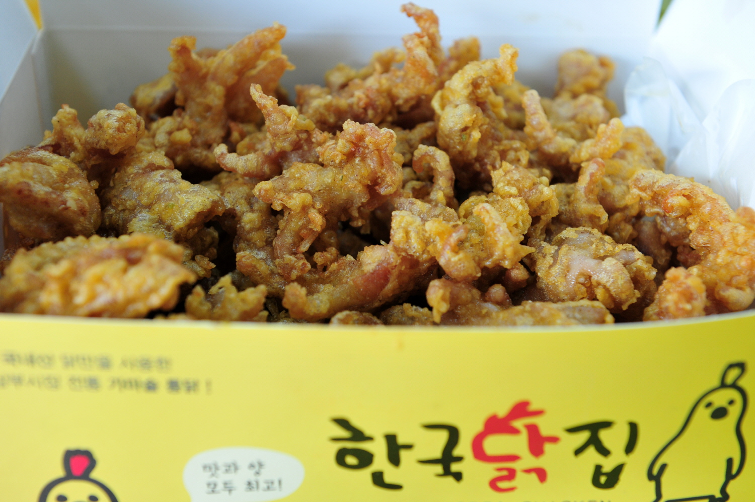 Hangukdakjip 5