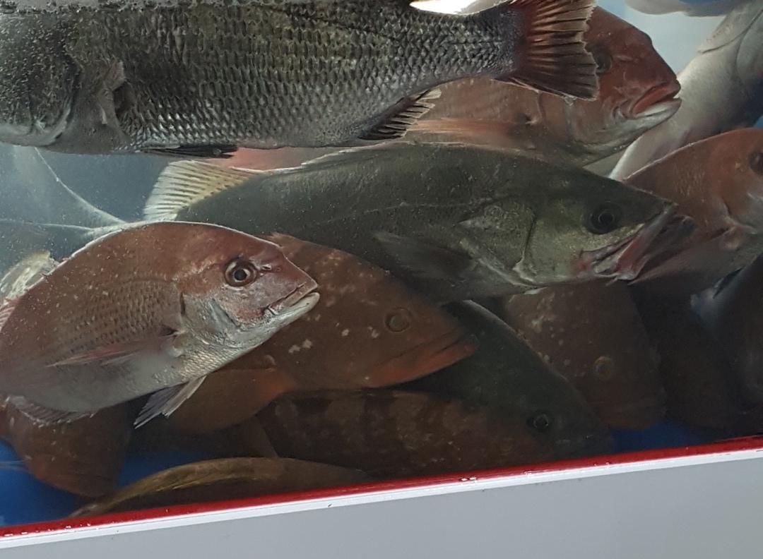 Jangheunghoetjip 4