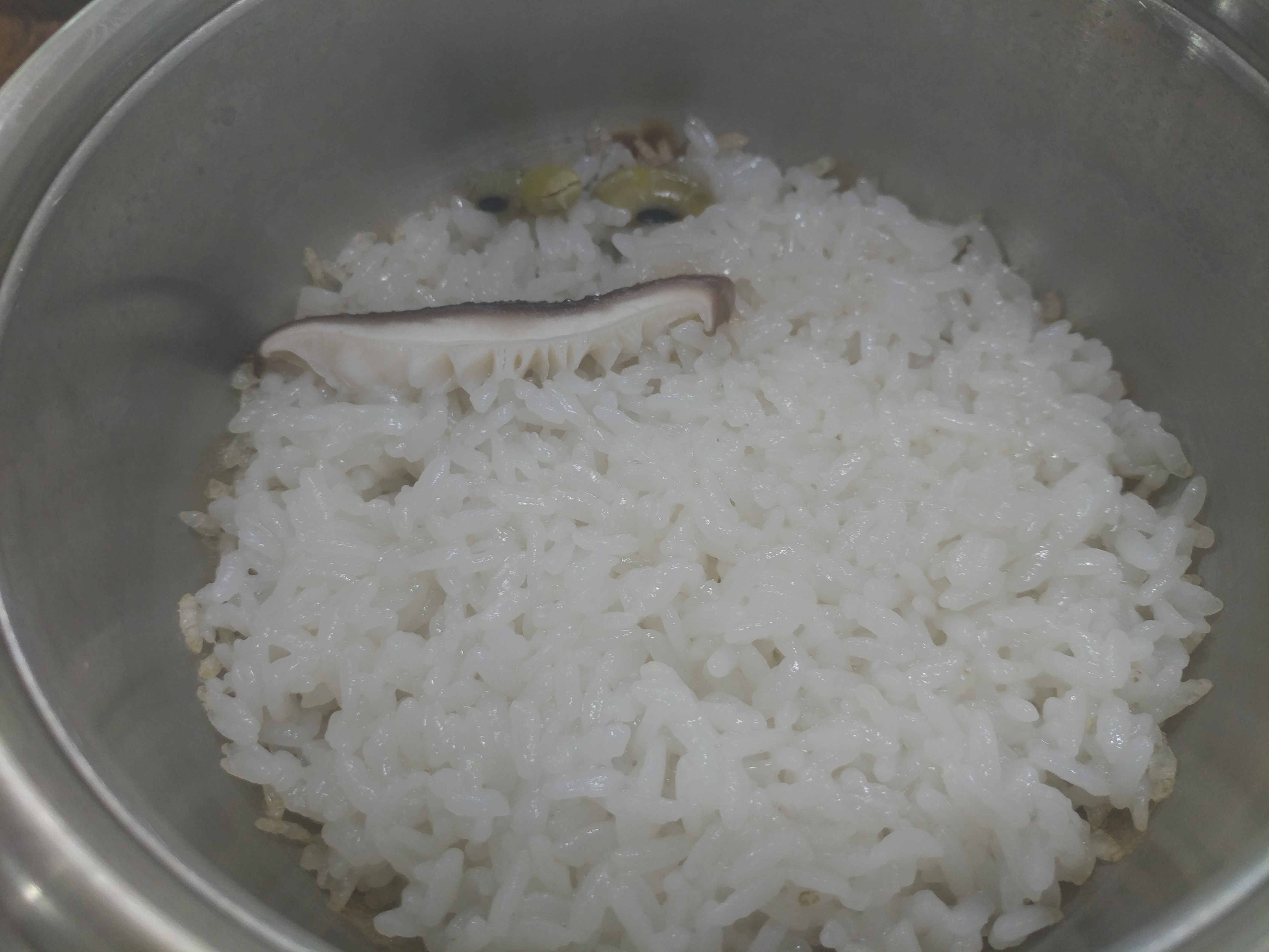 황금버섯 2