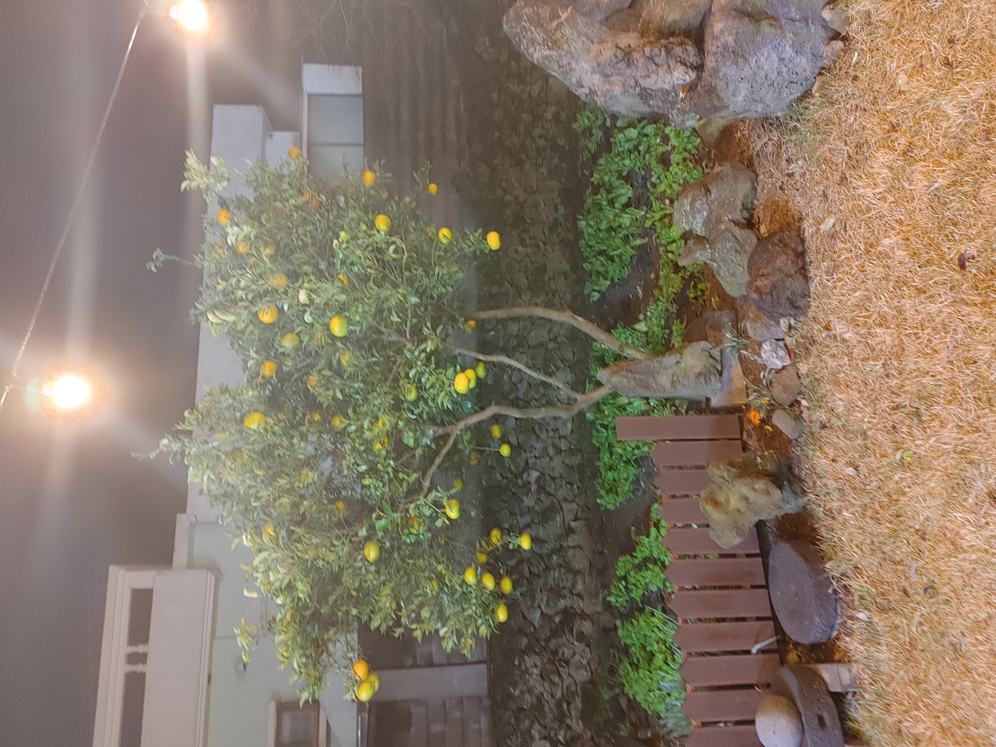 화남정 사진 5