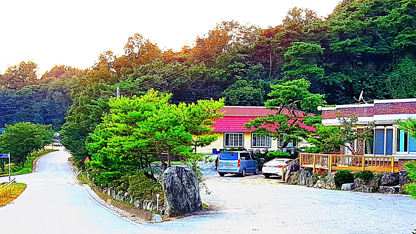 Saemgolgadeun 6