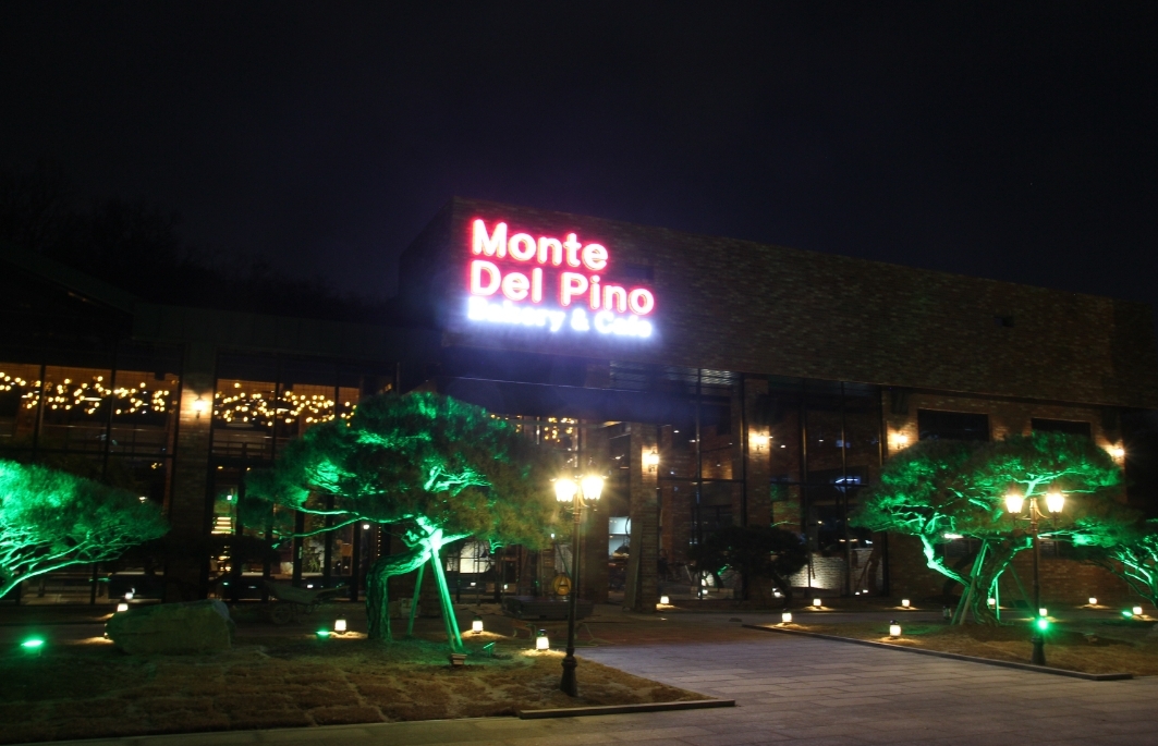 Monttedelpino 4